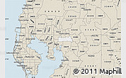 Classic Style Map of ZIP code 33610