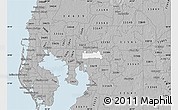 Gray Map of ZIP code 33610