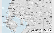 Silver Style Map of ZIP code 33610