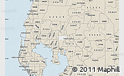 Classic Style Map of ZIP code 33612