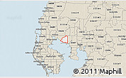Classic Style 3D Map of ZIP code 33615