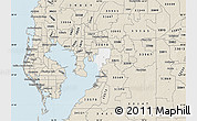 Classic Style Map of ZIP code 33619