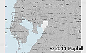 Gray Map of ZIP code 33619
