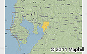 Savanna Style Map of ZIP code 33619