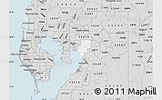 Silver Style Map of ZIP code 33619