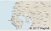 Classic Style 3D Map of ZIP code 33634