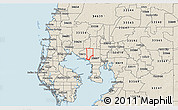 Shaded Relief 3D Map of ZIP code 33634