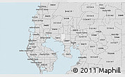 Silver Style 3D Map of ZIP code 33634