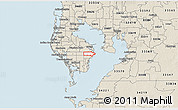 Classic Style 3D Map of ZIP code 33703