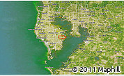 Satellite 3D Map of ZIP code 33703