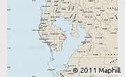 Classic Style Map of ZIP code 33703