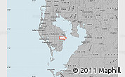 Gray Map of ZIP code 33703