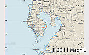 Shaded Relief Map of ZIP code 33703