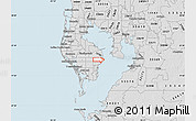Silver Style Map of ZIP code 33703
