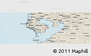Shaded Relief Panoramic Map of ZIP code 33703
