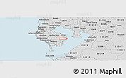 Silver Style Panoramic Map of ZIP code 33703
