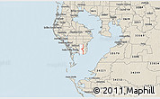 Classic Style 3D Map of ZIP code 33712