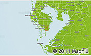 Physical 3D Map of ZIP code 33712