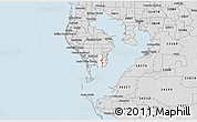 Silver Style 3D Map of ZIP code 33712