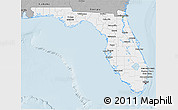 Gray 3D Map of Florida