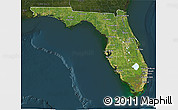 Satellite 3D Map of Florida, darken