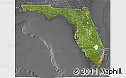 Satellite 3D Map of Florida, desaturated