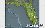 Satellite 3D Map of Florida, semi-desaturated