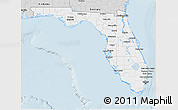 Silver Style 3D Map of Florida