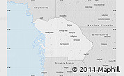 Silver Style Map of Citrus County