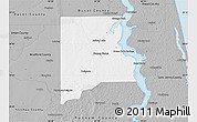 Gray Map of Clay County