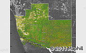 Satellite Map of Collier County, desaturated