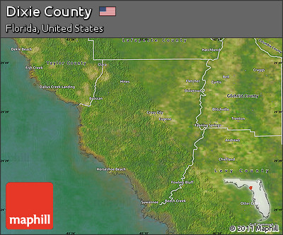 Satellite Map of Dixie County