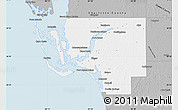 Gray Map of Lee County