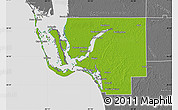 Physical Map of Lee County, desaturated