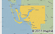 Savanna Style Map of Lee County