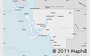 Silver Style Map of Lee County