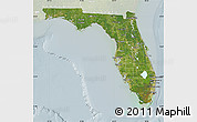 Satellite Map of Florida, lighten