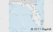 Silver Style Map of Florida