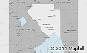 Gray Map of Okeechobee County