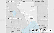 Silver Style Map of Okeechobee County