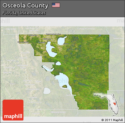 Satellite 3D Map of Osceola County, lighten