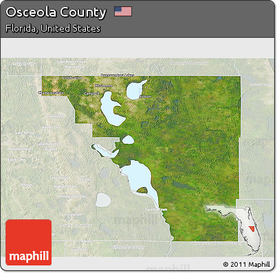 Satellite 3D Map of Osceola County, lighten