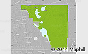 Physical Map of Osceola County, lighten, desaturated