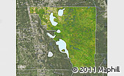 Satellite Map of Osceola County, semi-desaturated