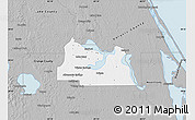 Gray Map of Seminole County