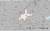 Gray 3D Map of ZIP code 30114