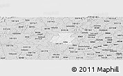 Silver Style Panoramic Map of ZIP code 30132