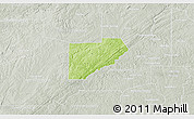 Physical 3D Map of Douglas County, lighten, semi-desaturated