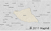 Shaded Relief 3D Map of Elbert County, desaturated