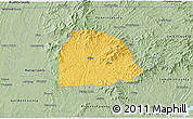 Savanna Style 3D Map of Gilmer County